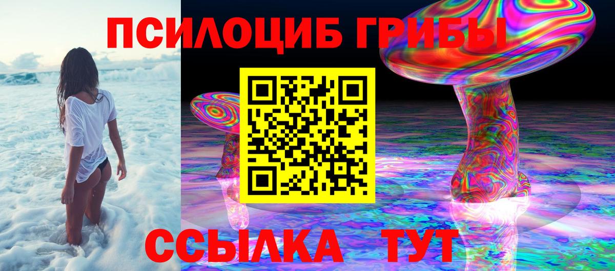 Галлюциногенные грибы Psilocybine cubensis  Вход с VPN  Красноярск 